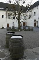 Cjp_2018_03_20_163606 (2).jpg